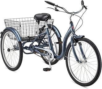 Schwinn Meridian
