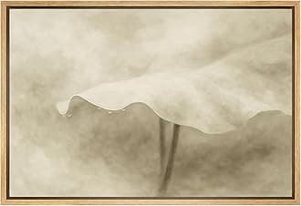 SIGNFORD Framed Canvas Print Wall Art Minimalist Leaf Detail Sepia Botanical Close-Up with Water Droplets Illustrations Modern Art Decorative for Living Room, Bedroom, Office - 16"x24" Natural