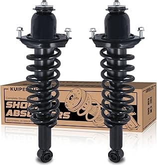 Pair Rear Strut Assembly Compatible with 2014-2019 Toyota Corolla Coil Spring Shock Absorber 172991L 172991R