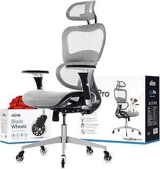 ErgoPro Ergonomic Office Chair - Rolling Desk Chair with 4D Adjustable Armrest, 3D Lumbar Support and Blade Wheels - Mesh Computer Chair, Gaming Chairs, Executive Swivel Chair (Light Gray)