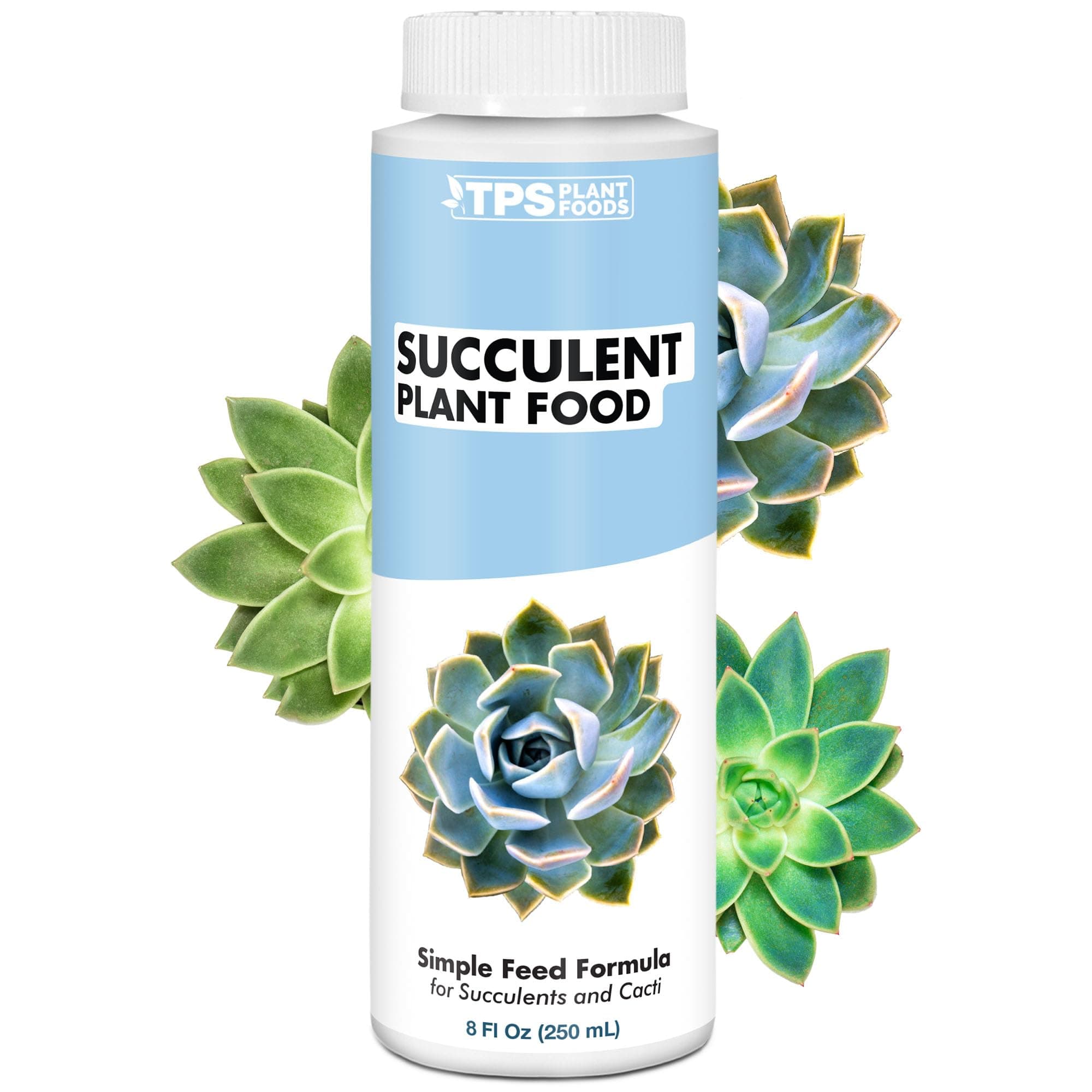 Succulent Plant Food