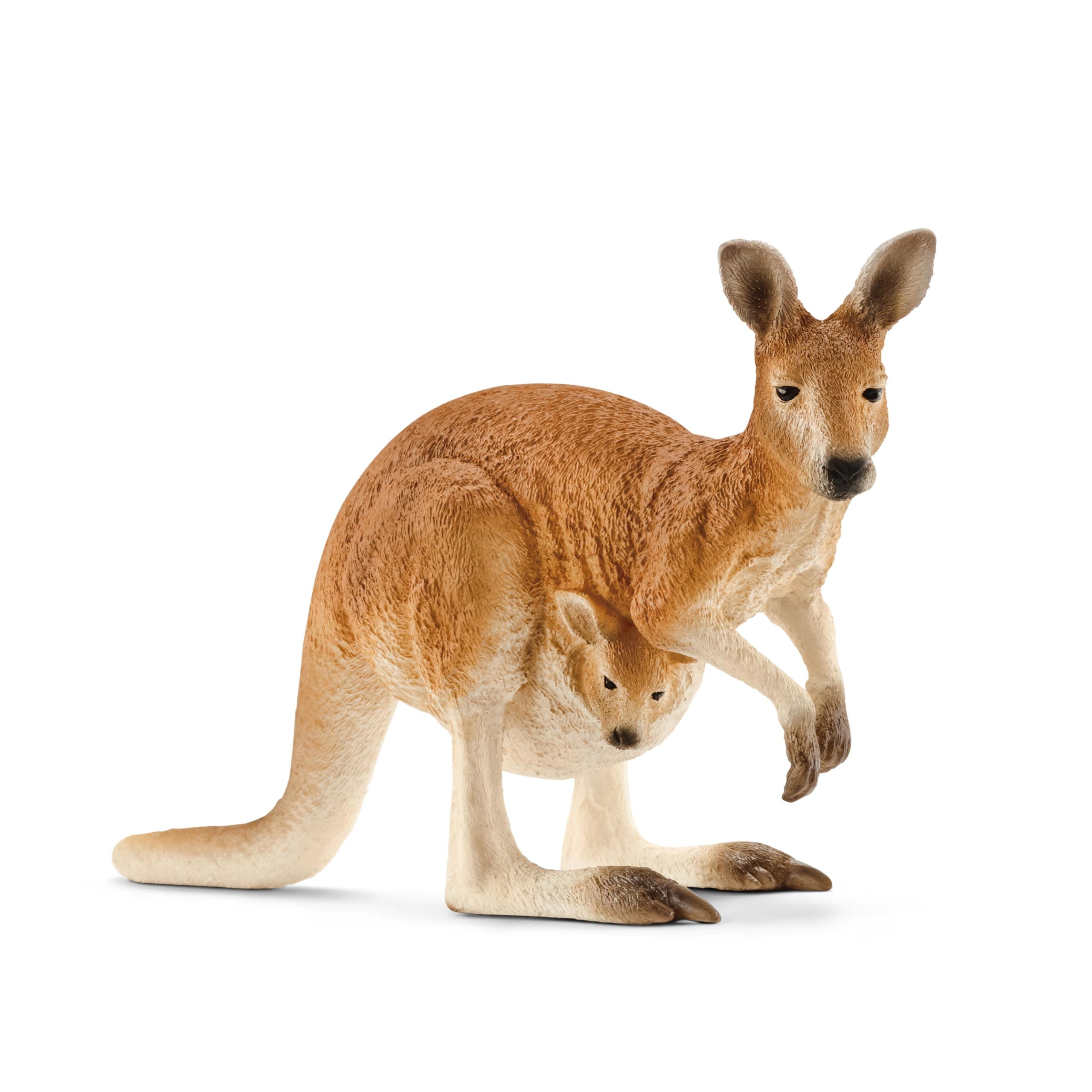 Schleich Kangaroo, Multi Color