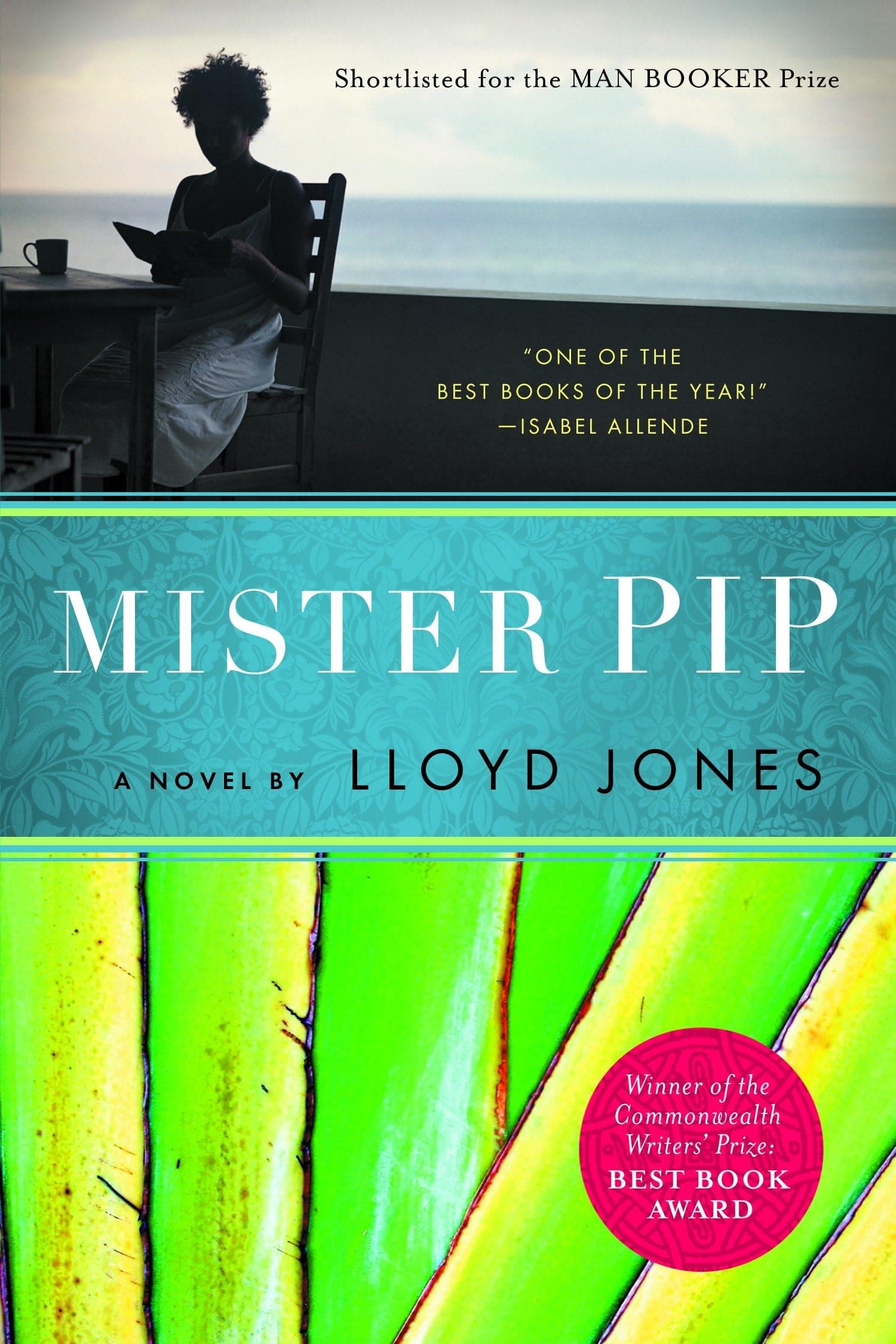 Mister Pip Paperback – May 20, 2008