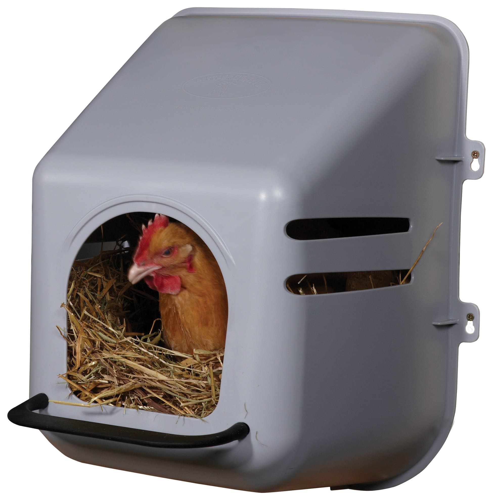 Little Giant Single Plastic Nesting Box Chicken Nest Box with Perch (Item No. 163620)