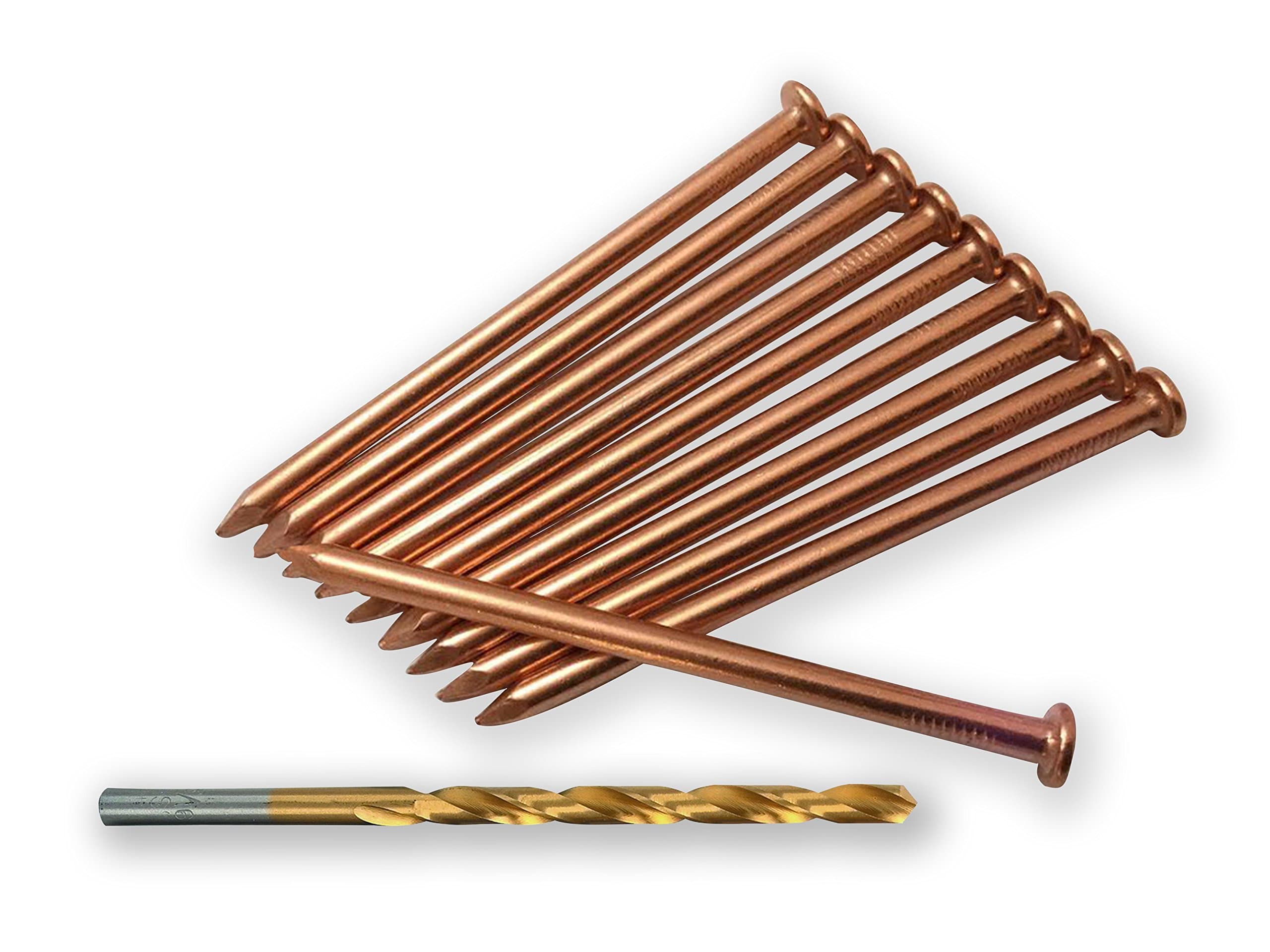 StumpGenie 4" (106mm) Solid Copper Extra Long Stump Removal Spikes x10 + pilot hole drill bit for hard wood trees, Copper nails to kill a tree!