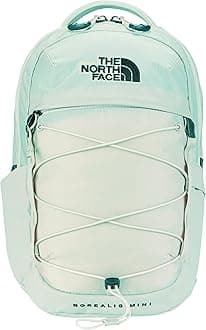 THE NORTH FACEBorealis Mini Backpack Pack (Ice Blue/Tnf Black)