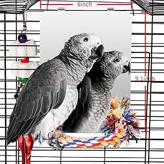 - Colorday 9" Bird Mirror for cage with Rope Perch, Bird Swing, Parrot Cage Toy for Parakeet Budgie African Grey Conure Cockatiel Lovebird Finch Canarie, Large