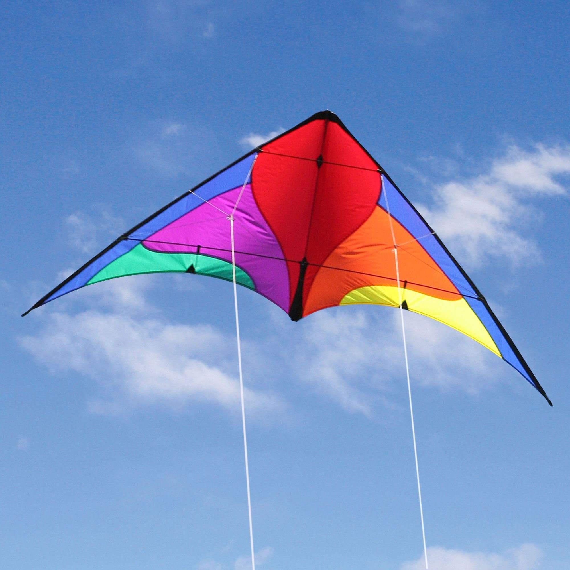 Into The Wind Firefly Dual line Stunt Kite