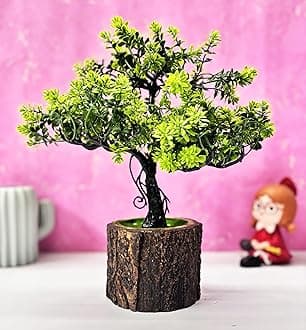 Dekorly Small Artificial Bonsai Tree Fake Plant Potted House Plants Japanese Pine Bonsai Plant Faux Bonsai for Home Indoor Decoration Office (Wooden Potted Plants, Design-F)
