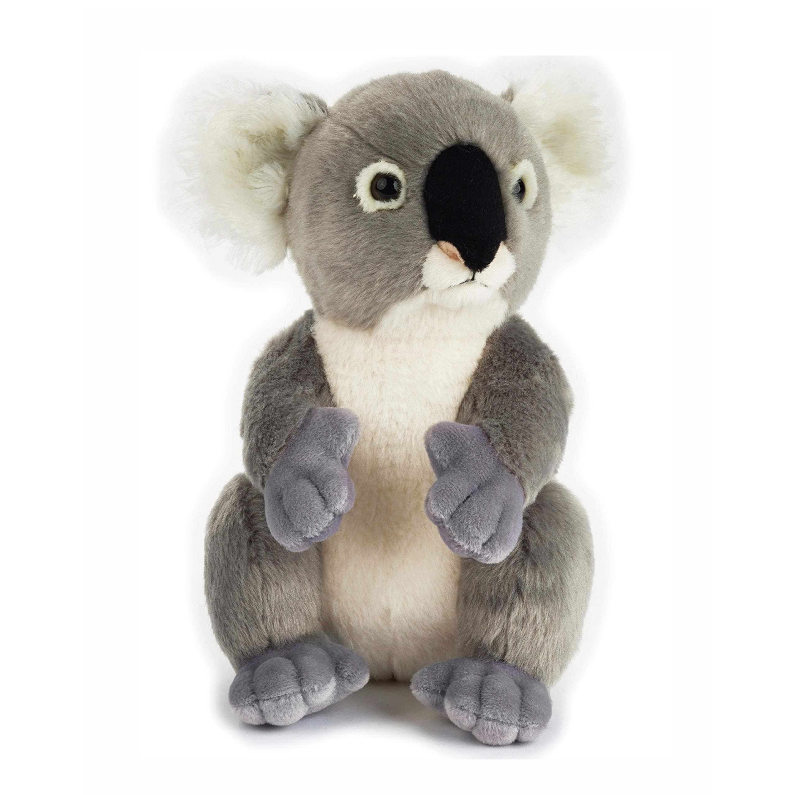 NATIONAL GEOGRAPHIC Lelly Basic Plush, Koala, Grey