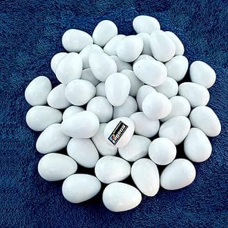 PAGONA� - Fake Pigeon Eggs for Hatch Incubation Breeding Solid Small (Pack of 2)