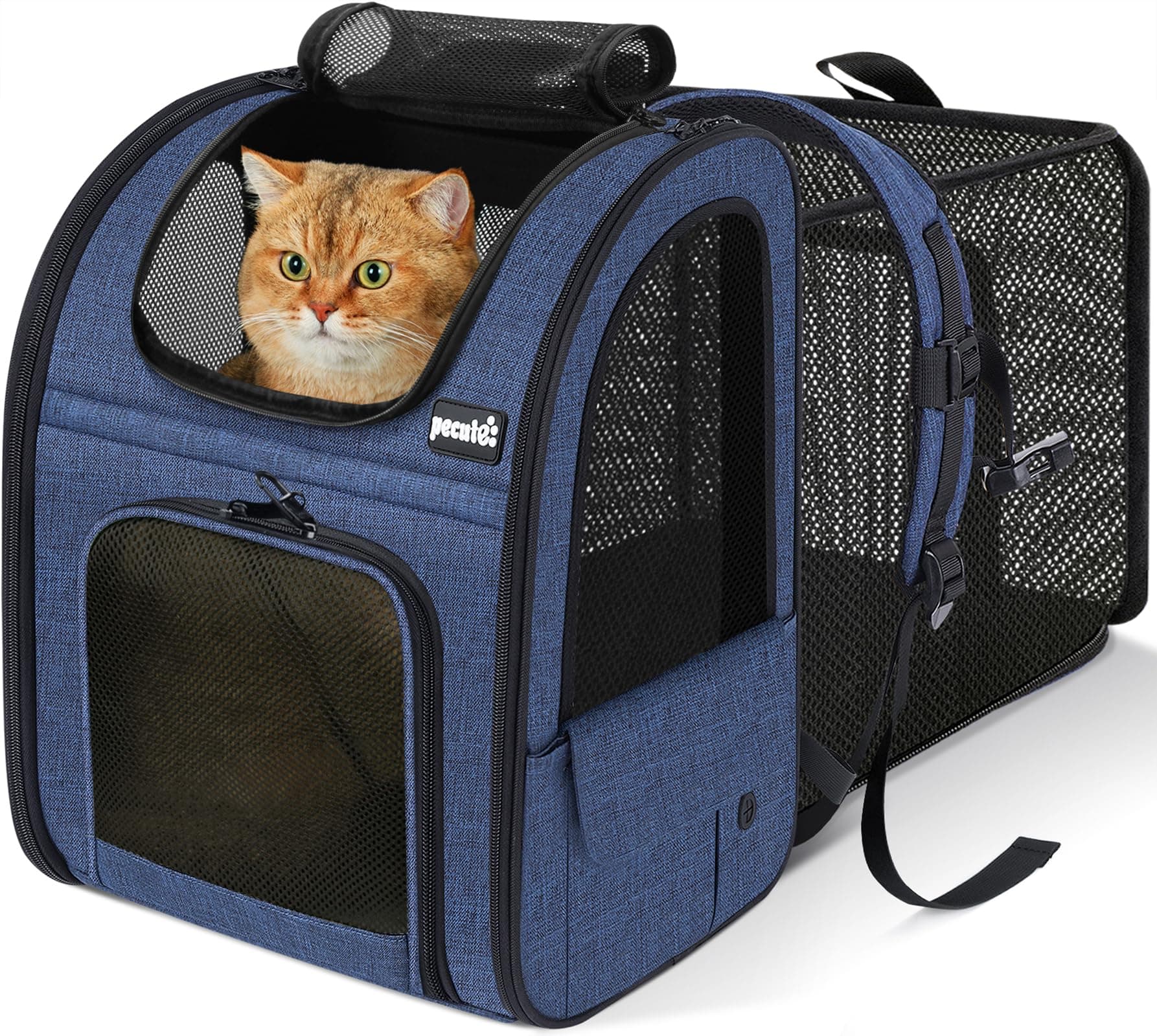 Pecute Cat Backpack Carrier Expandable, Pet Backpack for Cats & Small Dogs Up to 11lbs, with 4-Side Breathable Mesh, Multi-Entry & Lockable Zippers for Travel, Hiking, Camping - Hands Free, Blue