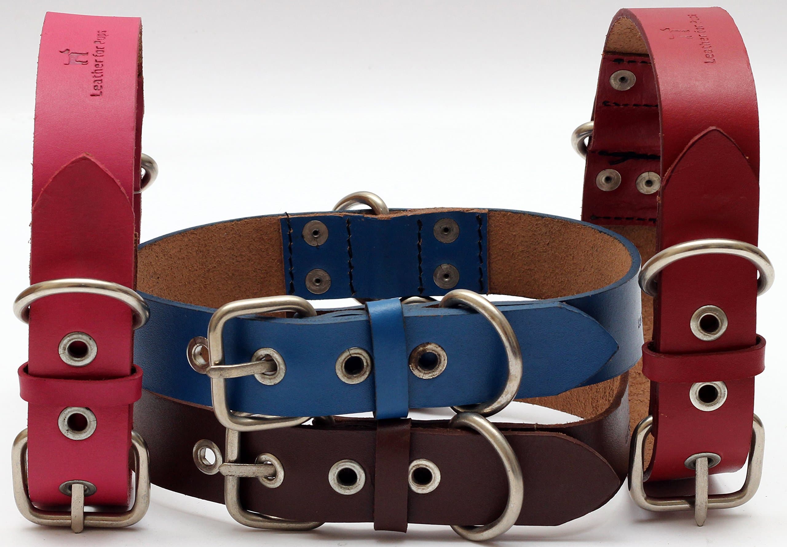 forPups Value Line Leather Collar (18-21, Chocolate)