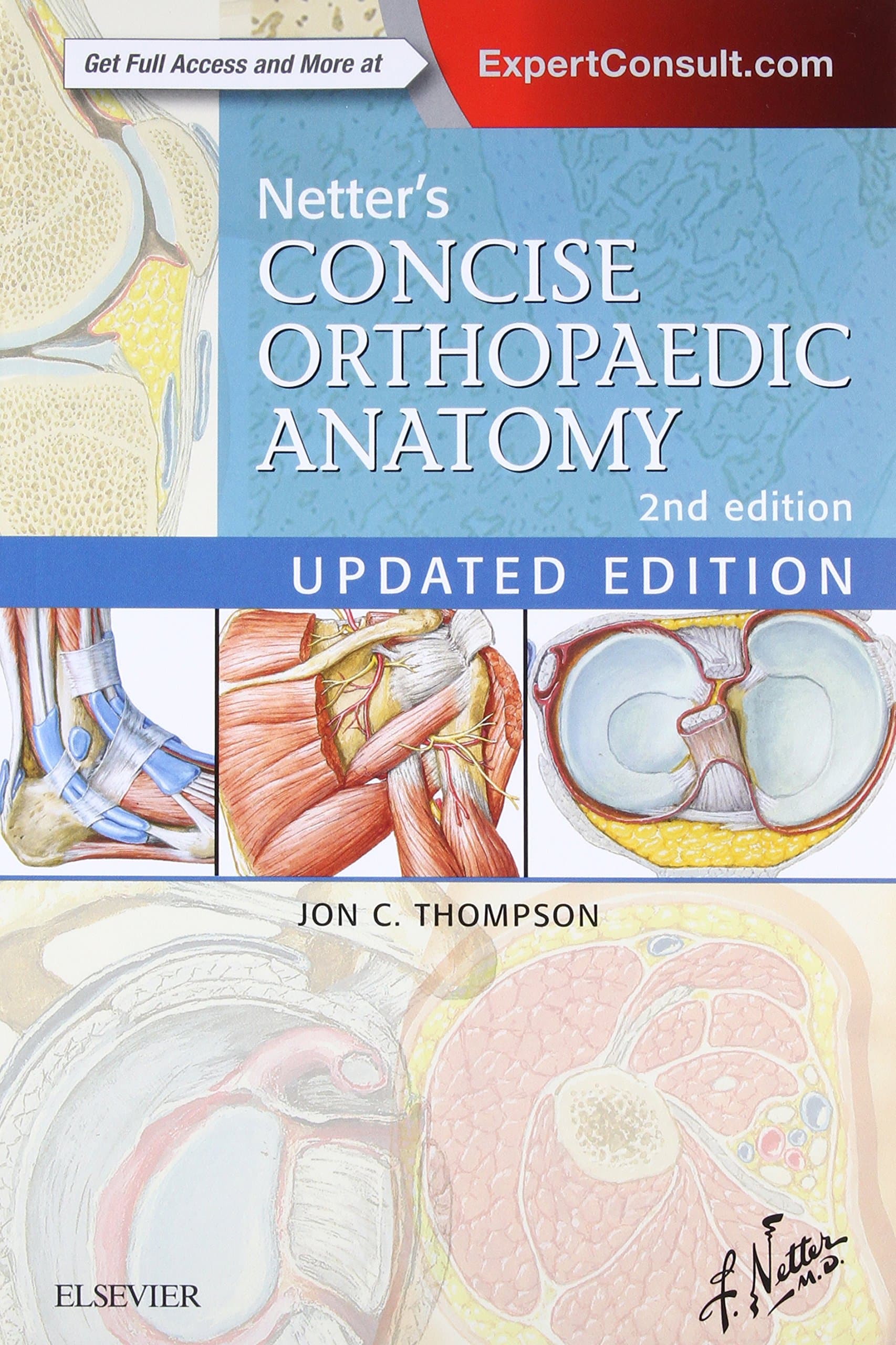 Netter's Concise Orthopaedic Anatomy, Updated Edition, 2e (Netter Basic Science) Paperback – November 25, 2015