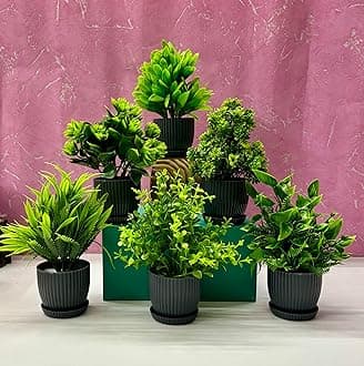 Dekorly® 6 Packs Fake Plants Small, Mini Artificial Plants Indoor for Home Farmhouse Bathroom Shelf Décor (Height : 17CM, Black)