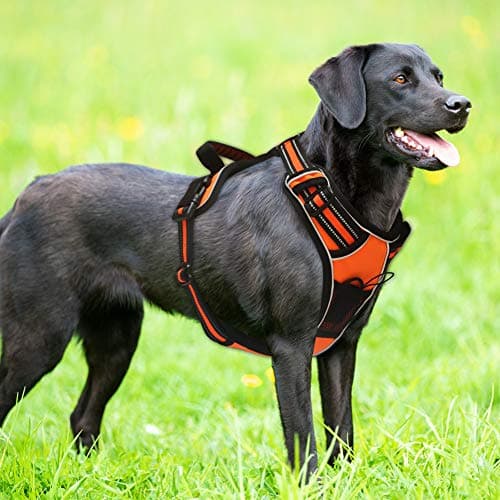 LovinPet Large Dog Harness No Pull Dog Harness Adjustable Easy Control for Small Medium Large Dogs
