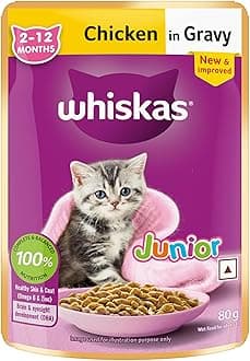 Junior Kitten (2-12 Months) Wet Cat Food, Chicken in Gravy, 80 g Hydrating Food Made With Real Chicken, 100% Complete & Balanced Nutrition for Kittens