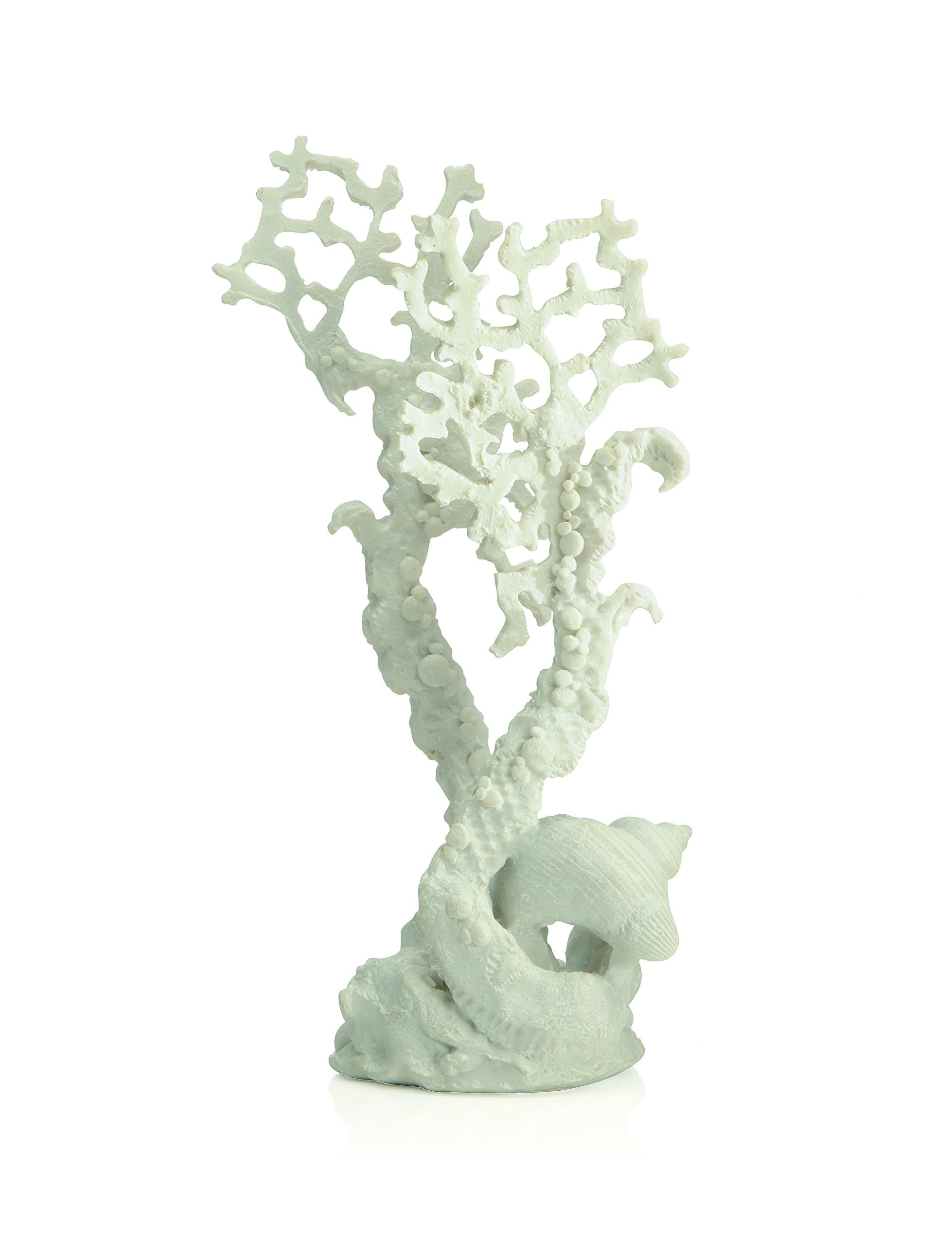 Samuel Baker Fan Coral, Small, White