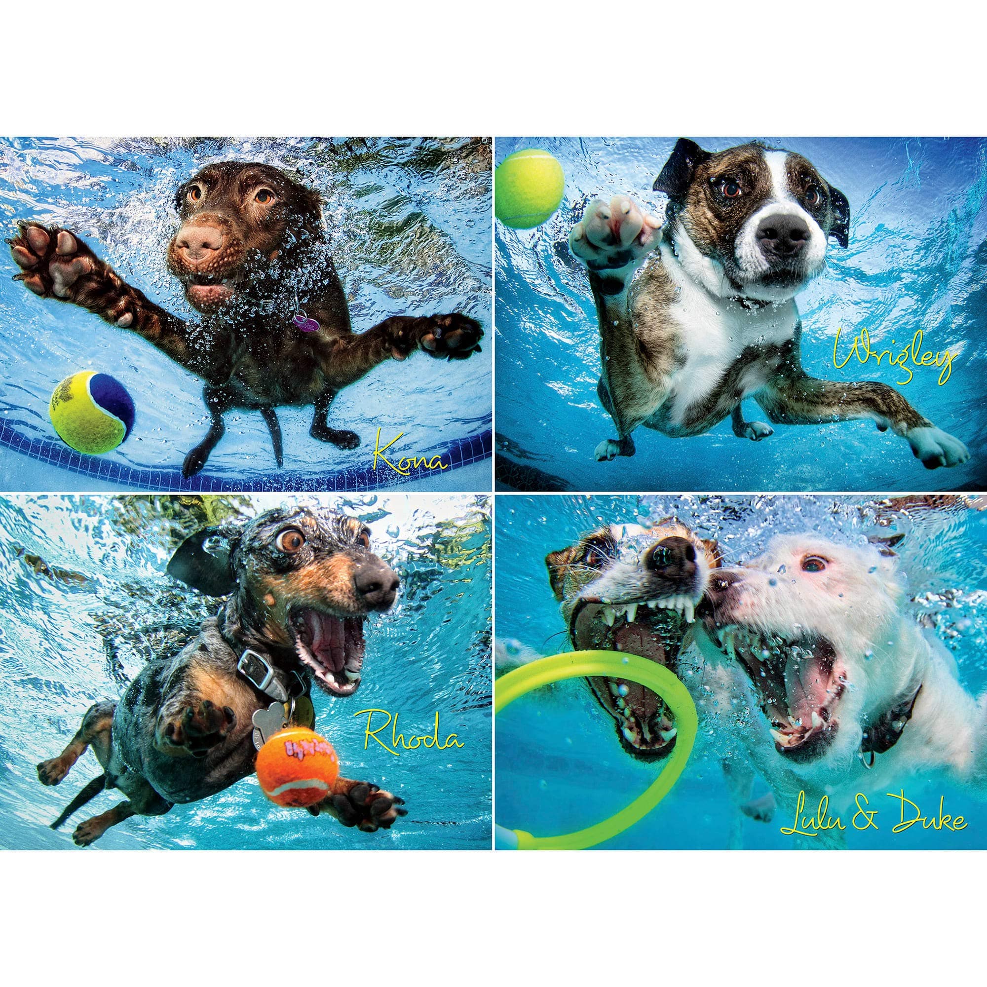 Underwater Dogs 2 1000-piece Puzzle